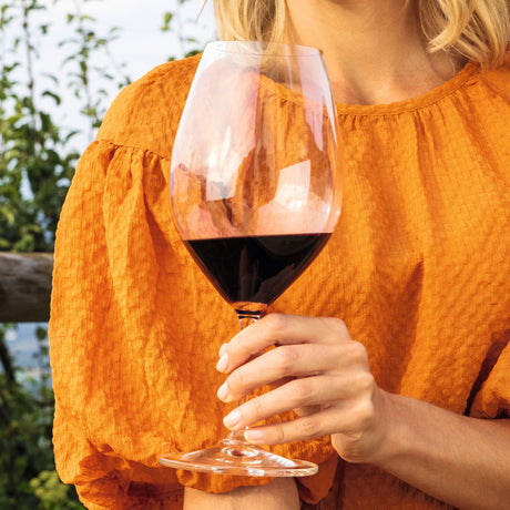 Riedel Wine Friendly