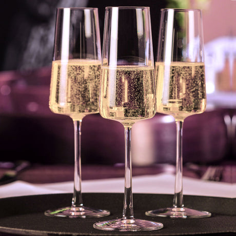 Stolzle Champagne Glasses