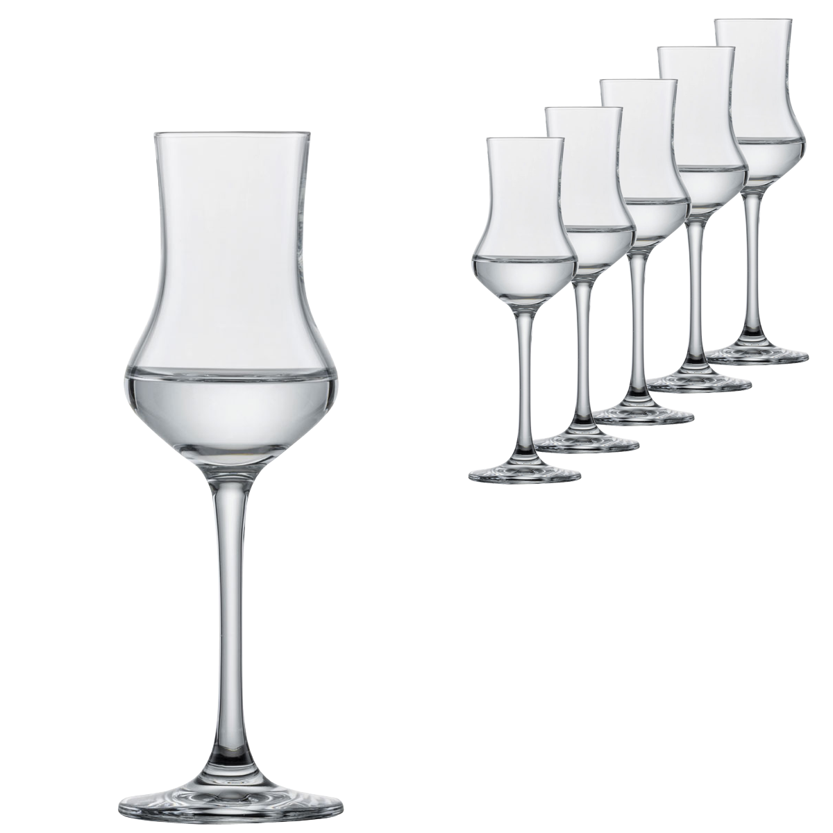 Schott Zwiesel Classico Grappa Glass Set Of 6