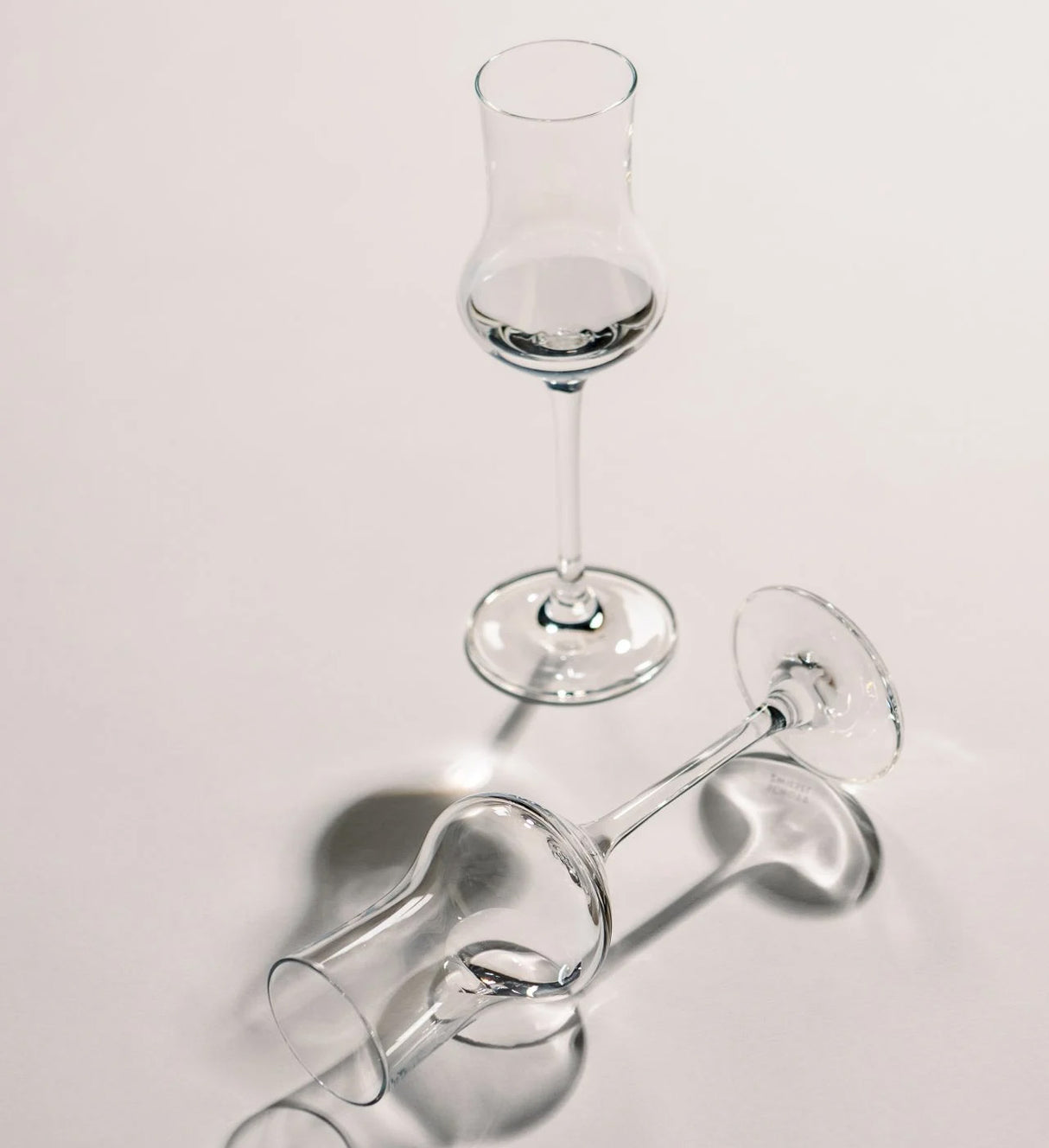 Schott Zwiesel Bar Special Grappa Glass Set Of 6