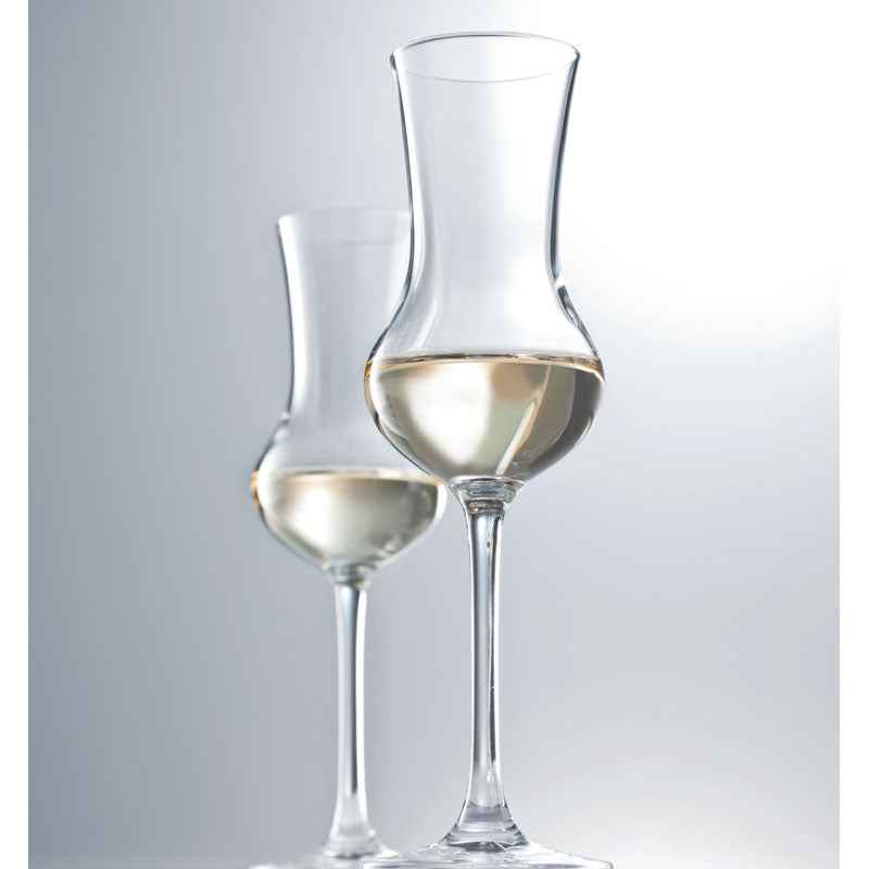 Schott Zwiesel Bar Special Grappa Glass Set Of 6