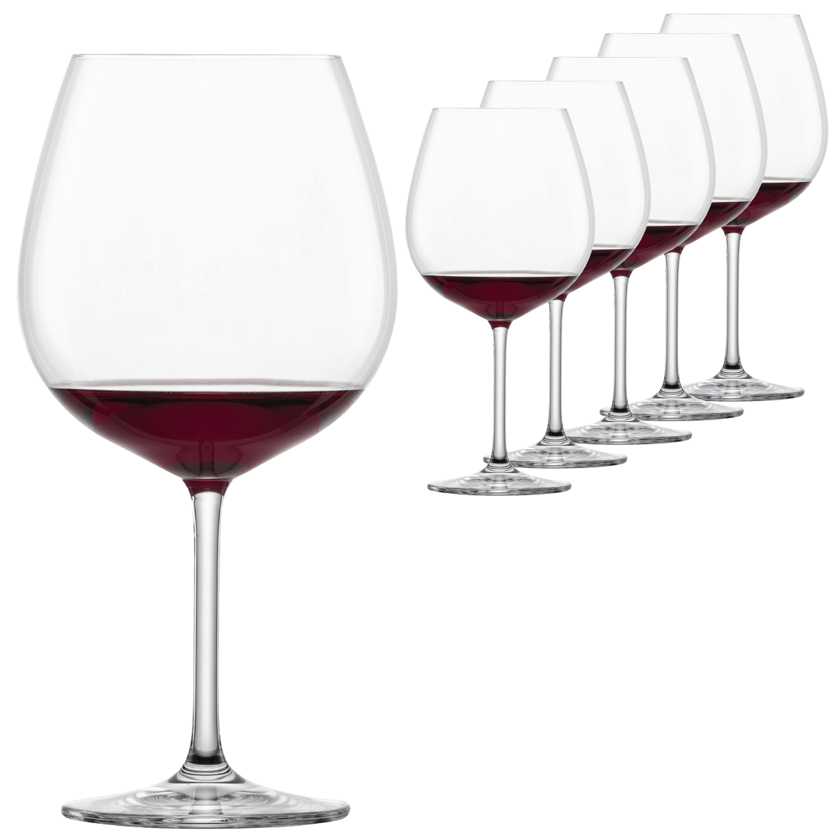 Schott Zwiesel Ivento Burgundy Glass Set Of 6