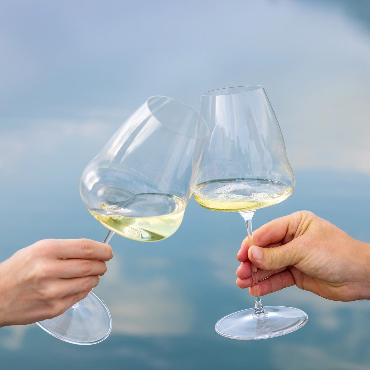 Riedel Winewings Sauvignon Blanc Glass - 1234/33