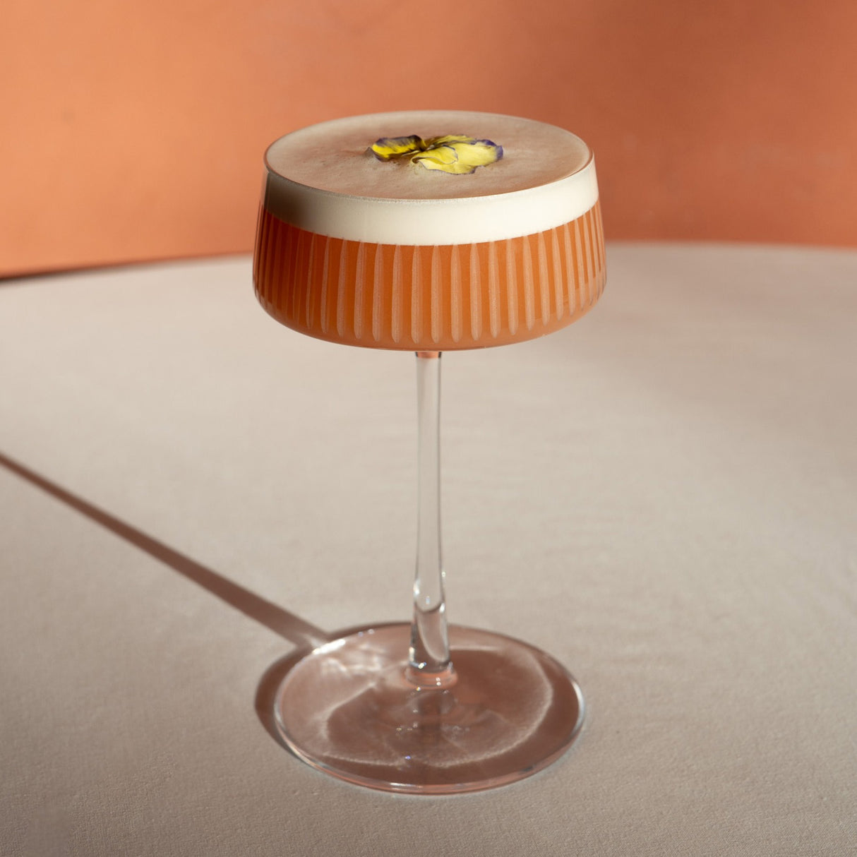 Stolzle Soho Bar Champagne Saucer Cocktail Glass 276ml Set Of 6