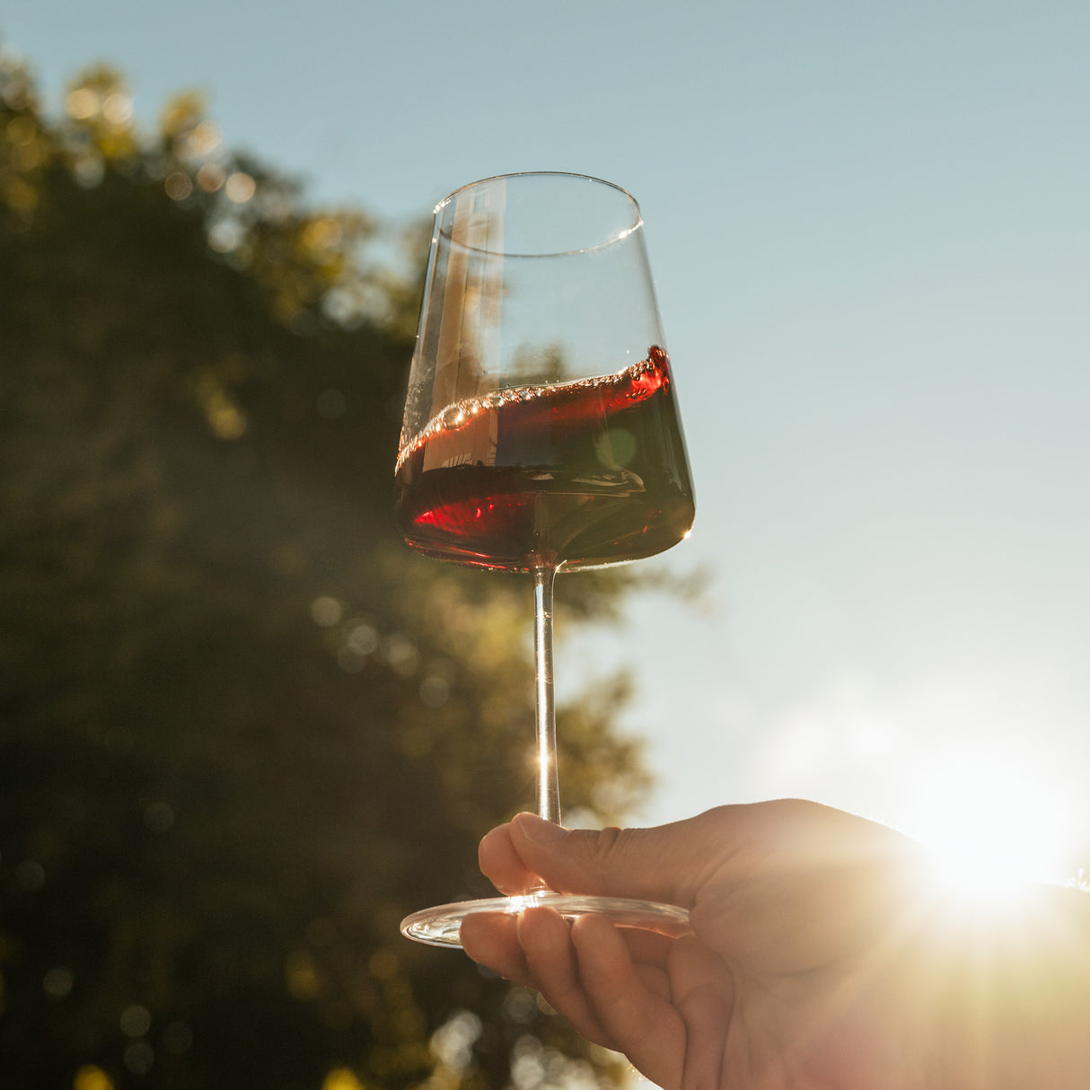 Stolzle Power Bordeaux Wine Glass Set Of 6