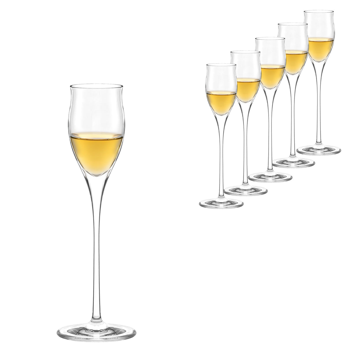 Stolzle Quatrophil Grappa Liqueur Glass Set Of 6