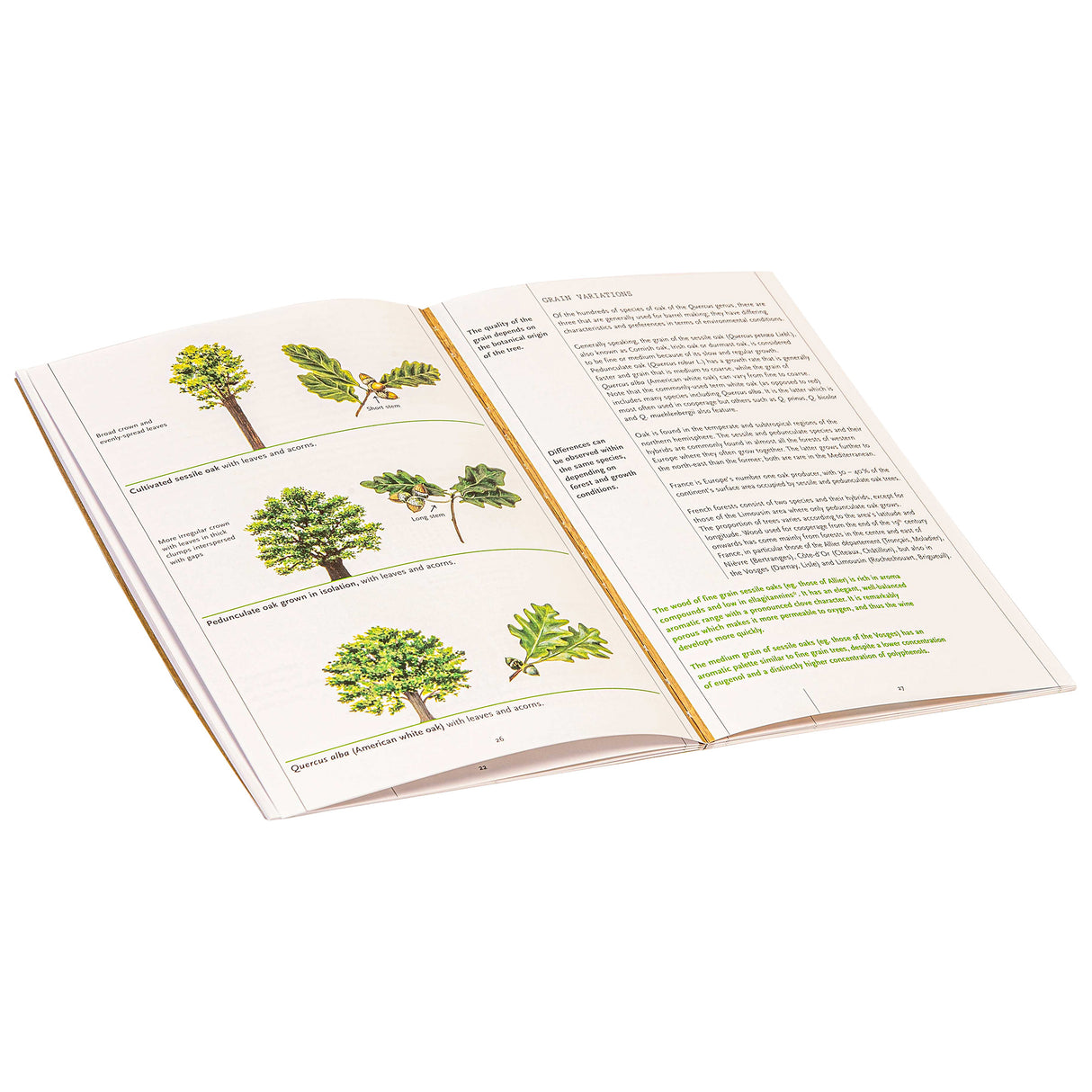 Le Nez Du Vin - 12 Wine Aromas Oak - Wine Aroma Kit