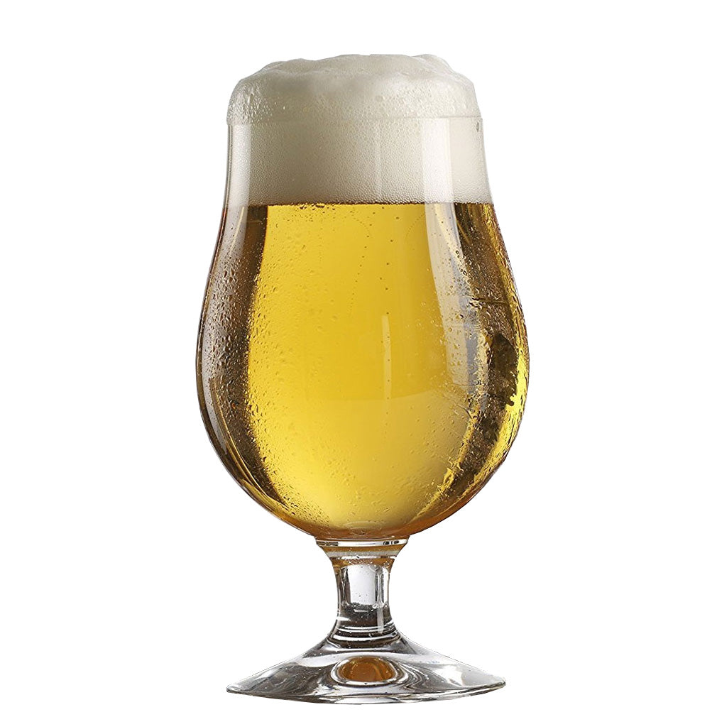 Stolzle Berlin Lager Beer Glasses - Set of 6