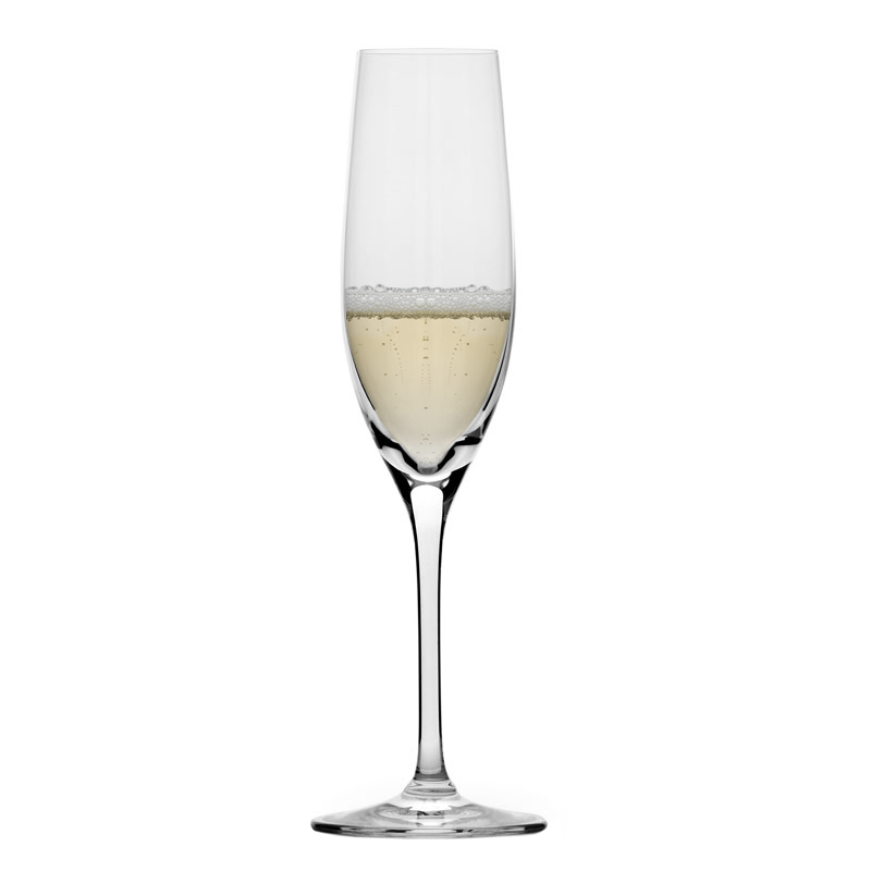 Glass Co In Vino Veritas Champagne Glass Set Of 6