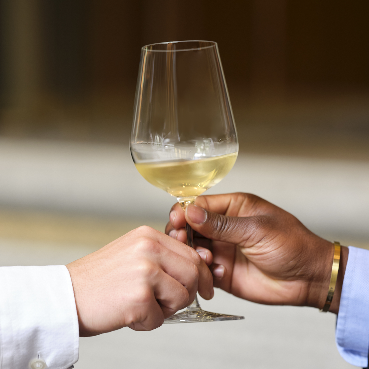 Jancis Robinson X Richard Brendon Precision The Wine Glasses Set Of 6