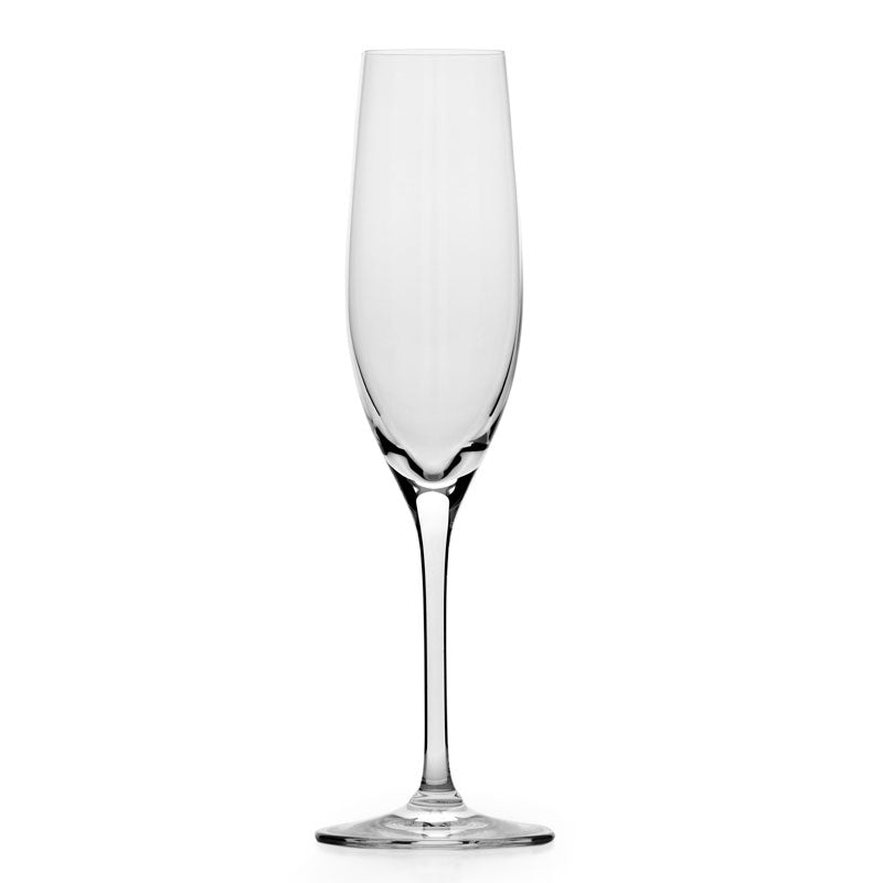 Glass Co In Vino Veritas Champagne Glass Set Of 6