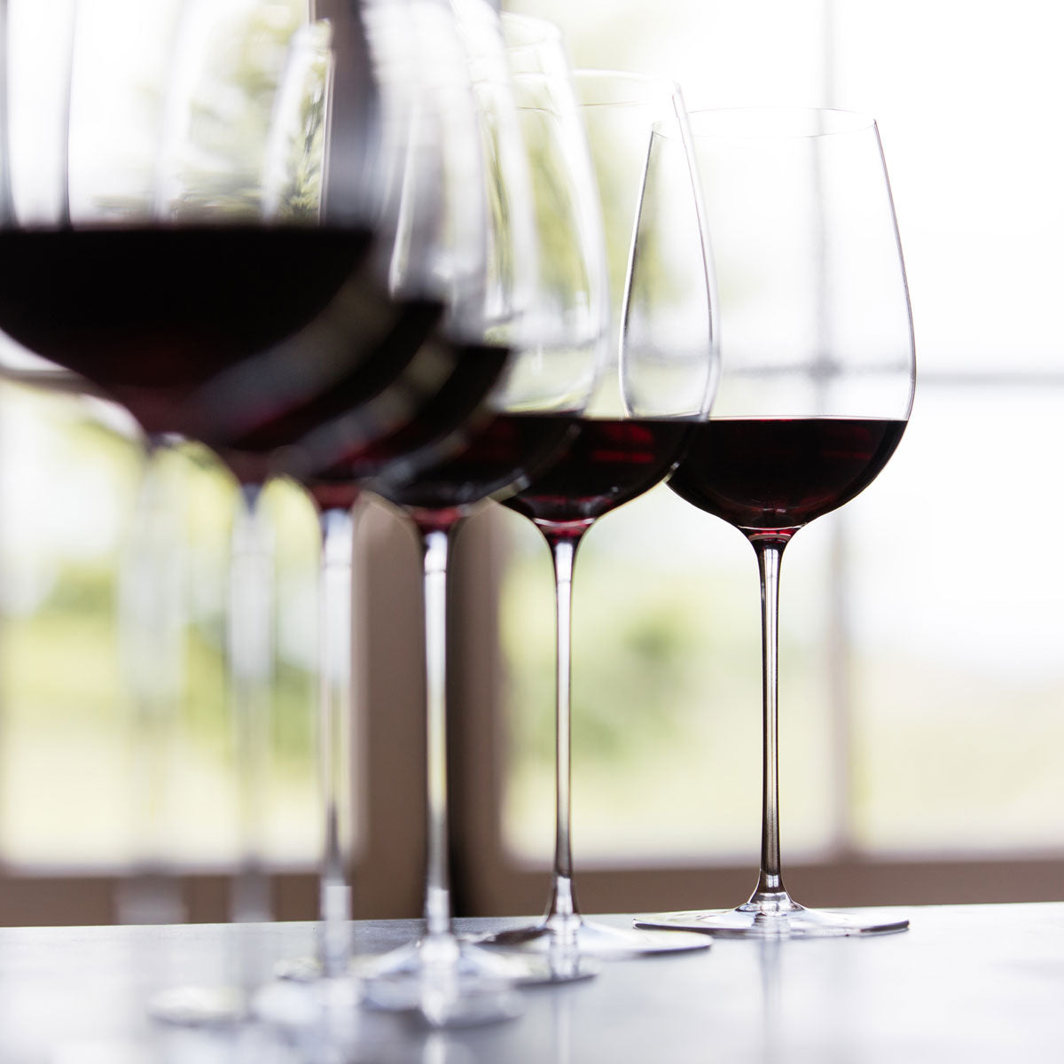 Sydonios Racine Collection L Esthete Red Wine Glass Set Of 2