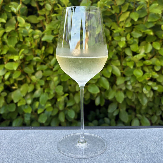 Glass of white wine on a surface with a green leafy background