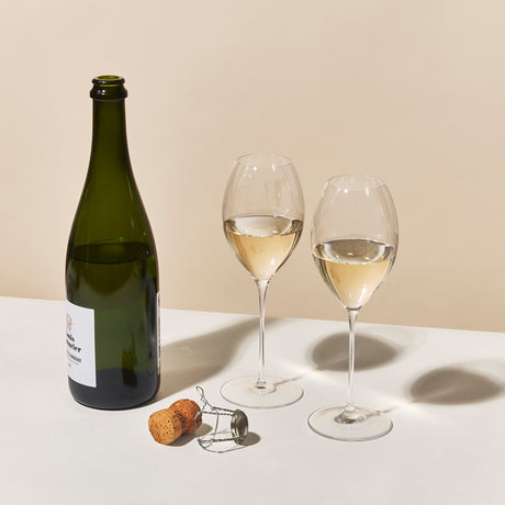 Which Champagne Glass Is Right for Me? A Guide to Champagne Glass Types