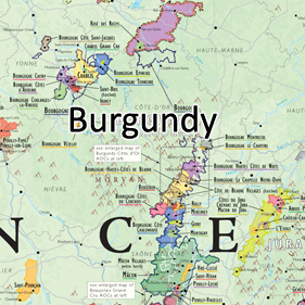 burgundy-front-banner-02