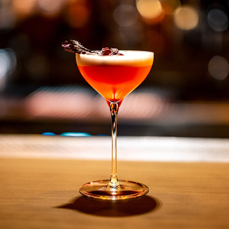Stolzle Cocktail Glasses