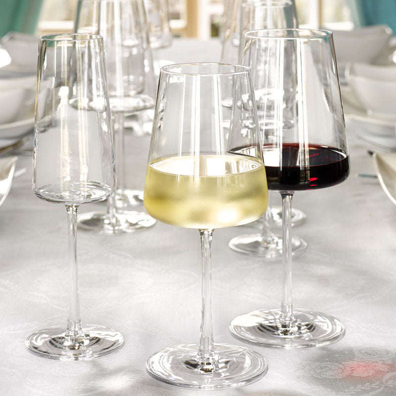 Stolzle Power White Wine Glass - Set of 6