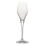 Glass & Co In Vino Veritas Prosecco Wine Glass - Set of 6