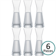 Schott Zwiesel Crystal Pure Wine / Water Carafe - 250ml - Set of 6