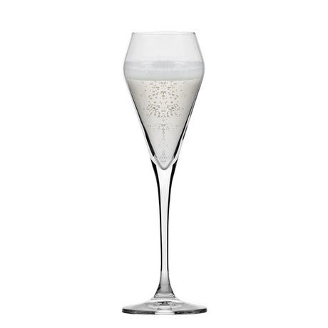 Glass & Co VinoPhil Champagne / Sparkling Wine Glass - Set of 6