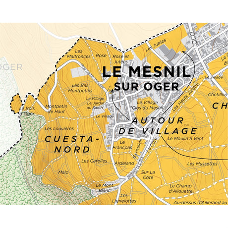 De Long’s Map of Côte des Blancs Champagne - Le Mesnil-sur-Oger Grand Cru