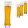 Schott Zwiesel Beer Basic Small Beer Glasses - Set of 4
