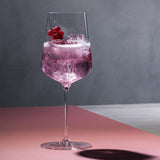 Spiegelau Definition Universal Red & White Wine Glass - Set of 2