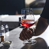 Grassl Glass Vigneron Series 1855 Red Wine Glass