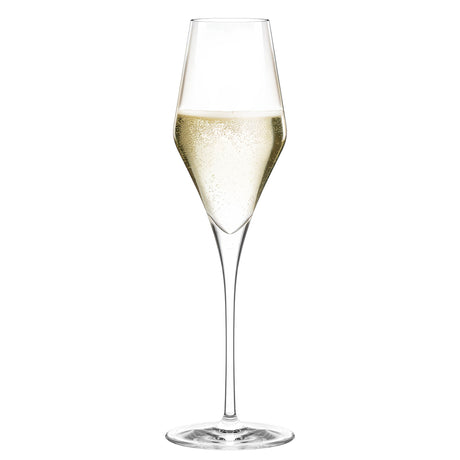 Stolzle Quatrophil Champagne/Sparkling Wine Glass - Set of 6