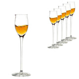 Stolzle Quatrophil Grappa/Liqueur Glass - Set of 6