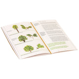 Le Nez Du Vin - 12 Wine Aromas Oak - Wine Aroma Kit