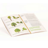 Le Nez Du Vin - 12 Wine Aromas Oak - Wine Aroma Kit