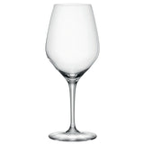 A set of 12 Spiegelau Restaurant Authentis Red Wine Glasses (480ml), featuring a clear, empty design with long stems and broad bowls, is shown against a plain white background.