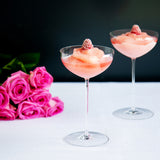 Riedel Restaurant Veritas Champagne Coupe / Saucer / Cocktail / Martini Glass 240ml - 0449/09 - Set of 6