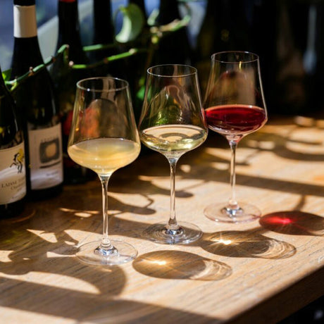 Two Gabriel-Glas StandArt Universal Red & White Wine Glasses by Gabriel-Glas—crafted from lead-free crystal—stand on a sunlit wooden table, each filled with wine (one white and one red), with wine bottles and plant shadows in the background.
