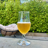 A refreshing pale beer with a foamy head is served outdoors in one of our Wineware Tritan Plastic Reusable Beer Glass Tulips (400ml), part of a convenient set of six. The stylish, unbreakable glass sits on the table against a backdrop of lush green hedges and a beige cushioned chair, creating an inviting scene that’s perfect for enjoying your favorite drink in BPA-free outdoor glassware.