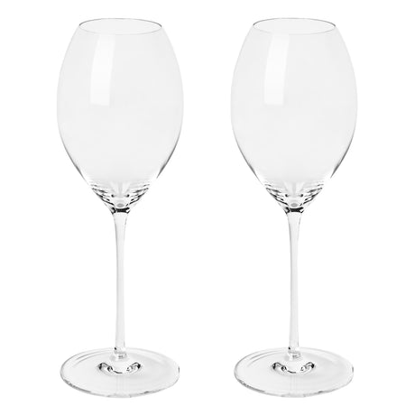 The Richard Brendon The Occasional Collection Champagne/Sparkling Wine Glass Set of 2 features two clear, mouth-blown crystal glasses with long stems and wide bowls, shown side by side against a plain white background.