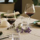Stolzle STARlight Burgundy Red Wine Glass - Set of 6