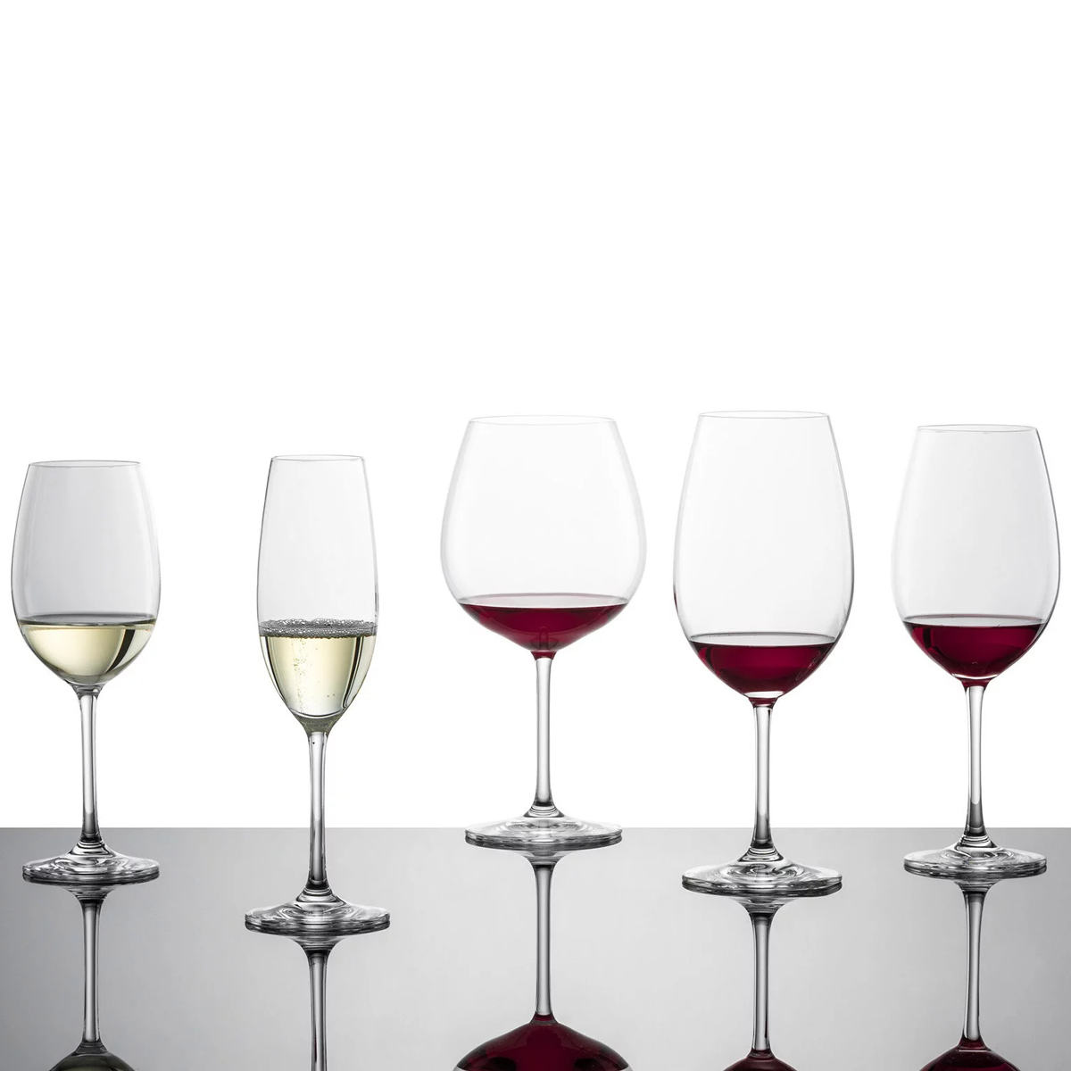 Schott Zwiesel Ivento Burgundy, White & Champagne Glasses - Set of 6